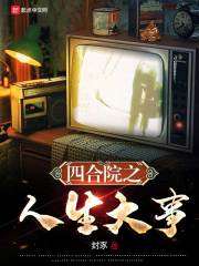 四合院之人生大事