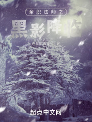 全职法师之黑影降临