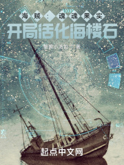 海贼：魂魂果实，开局活化海楼石