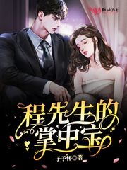 程先生的掌中宝