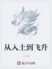 从入土到飞升