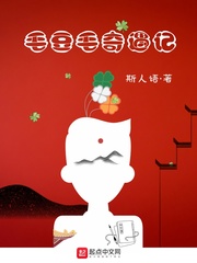 毛豆毛奇遇记
