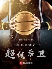 热血篮球之超级后卫