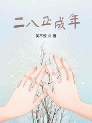 二八正成年