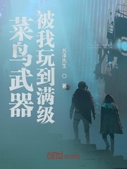 菜鸟武器被我玩到满级
