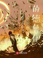 木叶中的德鲁伊