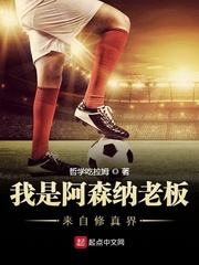 我是阿森纳老板来自修真界