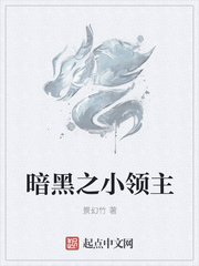 暗黑之小领主