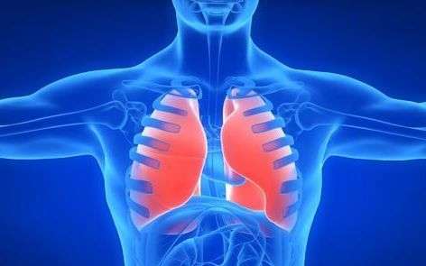 肺不好坚持养肺的方法是什么,肺不好坚持养肺的方法有哪些