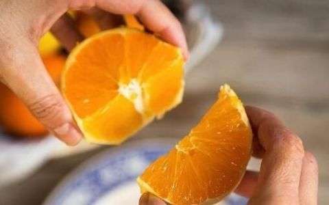 橘子皮能吃吗，蚯蚓会吃橘子皮