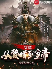 穿越，从赘婿到皇帝