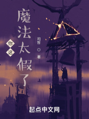 你这魔法太假了
