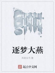 逐梦大燕