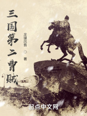 三国第二曹贼