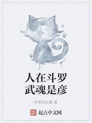 人在斗罗武魂是彦