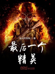 最后一个精英