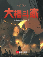 精灵大格斗家