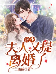 冷少，夫人又提离婚了