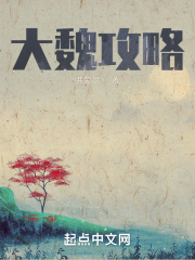 大魏攻略