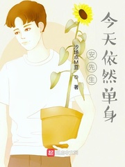 安先生今天依然单身