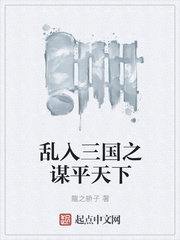 乱入三国之谋平天下