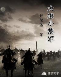 大宋小禁军