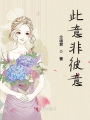 此意非彼意