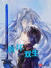 崩坏双生